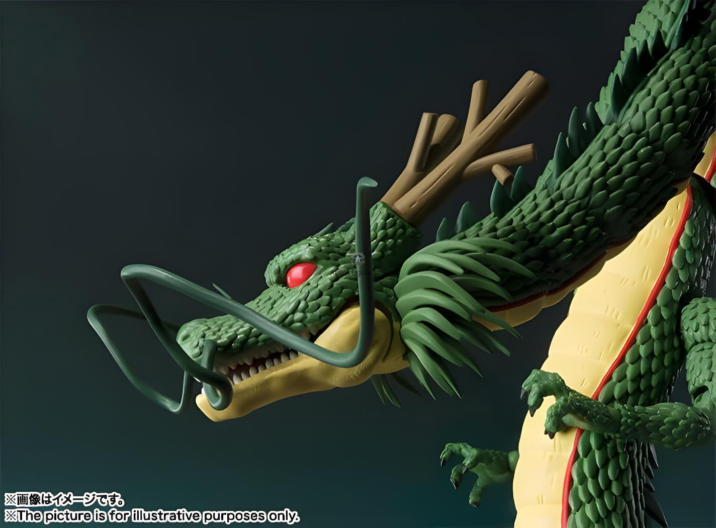 Dragon Ball - Shenron - S.H.Figuarts