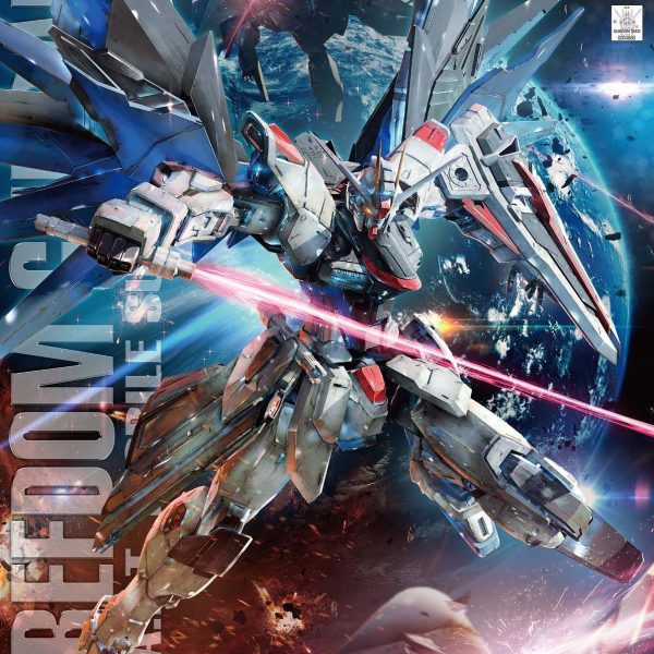 MG Freedom Gundam Ver 2.0
