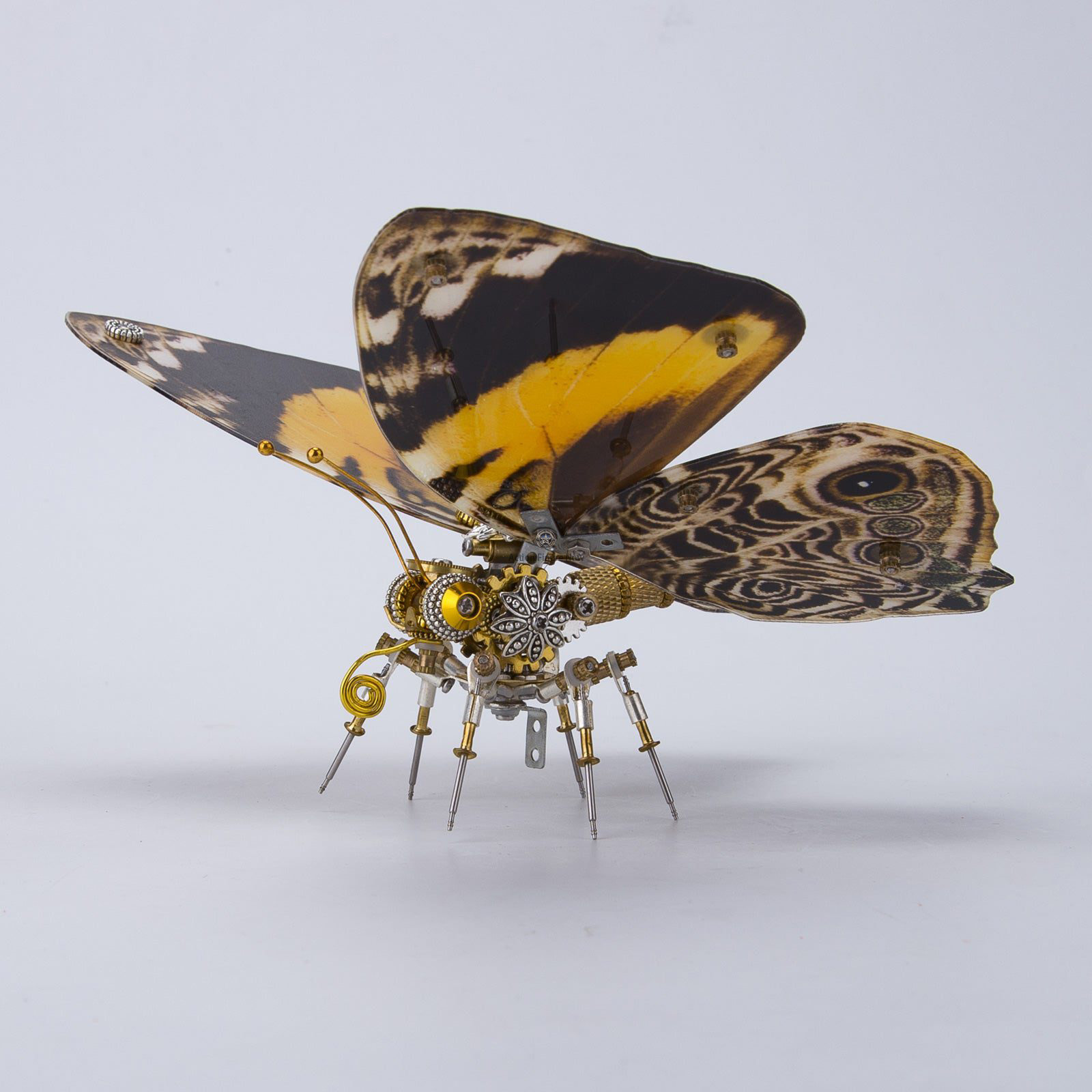 150Pcs Steampunk Brown Butterfly with Orange Spots Assemble 3D Metal Puzzles DIY Craft Kits 150Pcs Steampunk Brown Butterfly with Orange Spots Assemble 3D Metal Puzzles DIY Craft Kits