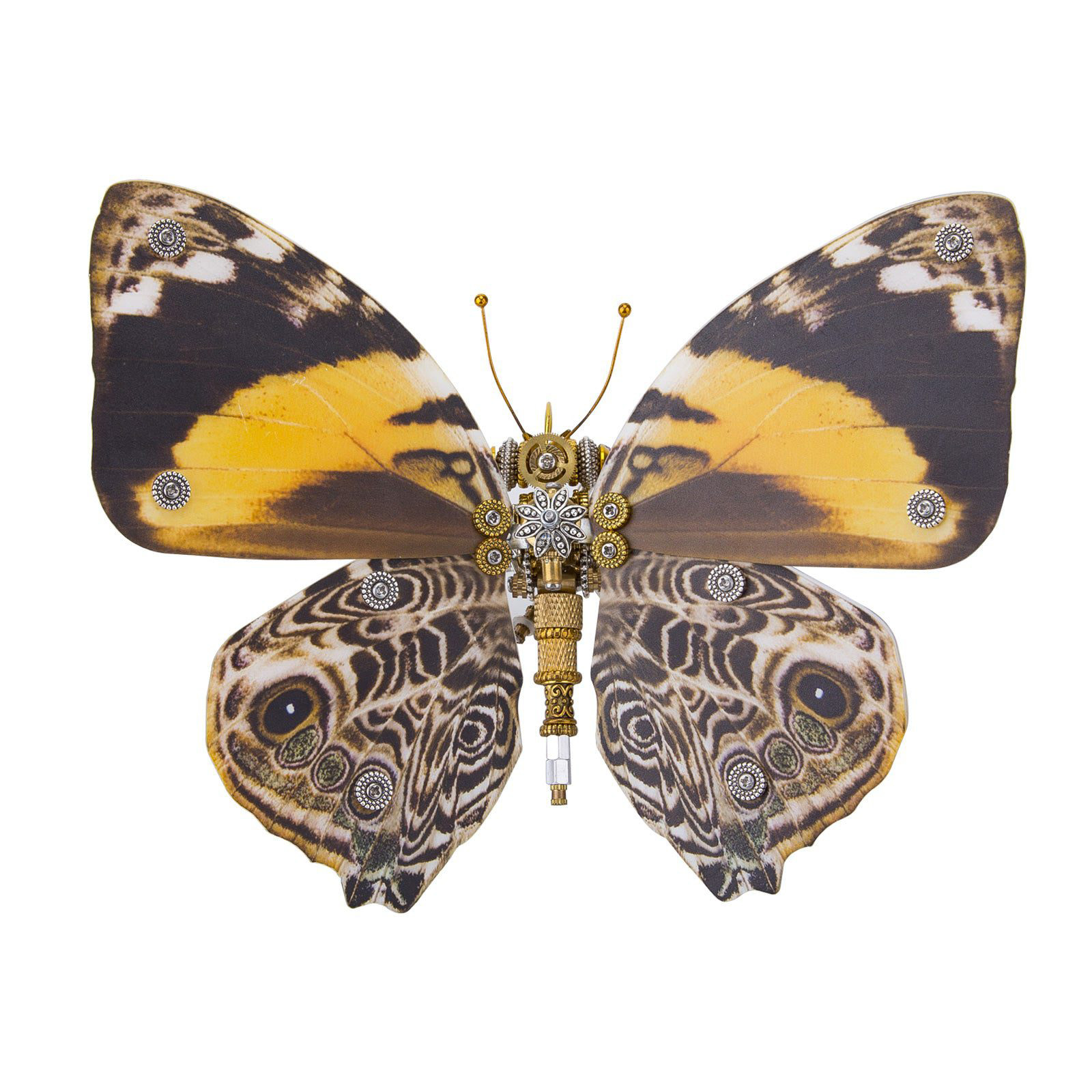 150Pcs Steampunk Brown Butterfly with Orange Spots Assemble 3D Metal Puzzles DIY Craft Kits 150Pcs Steampunk Brown Butterfly with Orange Spots Assemble 3D Metal Puzzles DIY Craft Kits