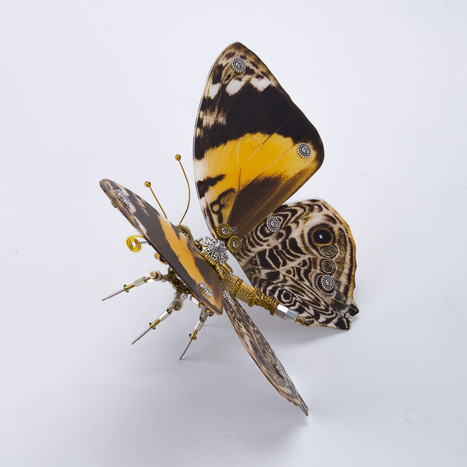 150Pcs Steampunk Brown Butterfly with Orange Spots Assemble 3D Metal Puzzles DIY Craft Kits 150Pcs Steampunk Brown Butterfly with Orange Spots Assemble 3D Metal Puzzles DIY Craft Kits