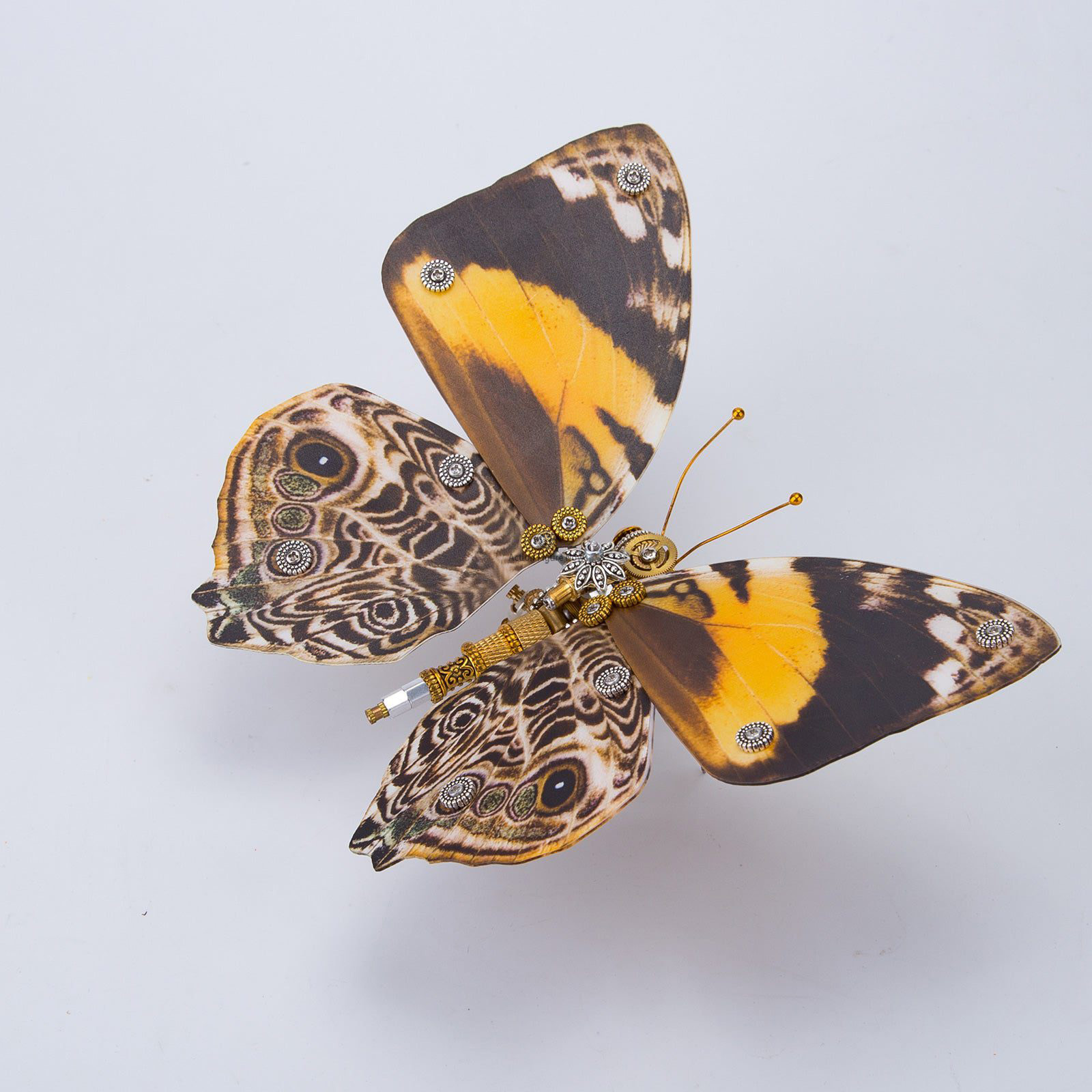 150Pcs Steampunk Brown Butterfly with Orange Spots Assemble 3D Metal Puzzles DIY Craft Kits 150Pcs Steampunk Brown Butterfly with Orange Spots Assemble 3D Metal Puzzles DIY Craft Kits
