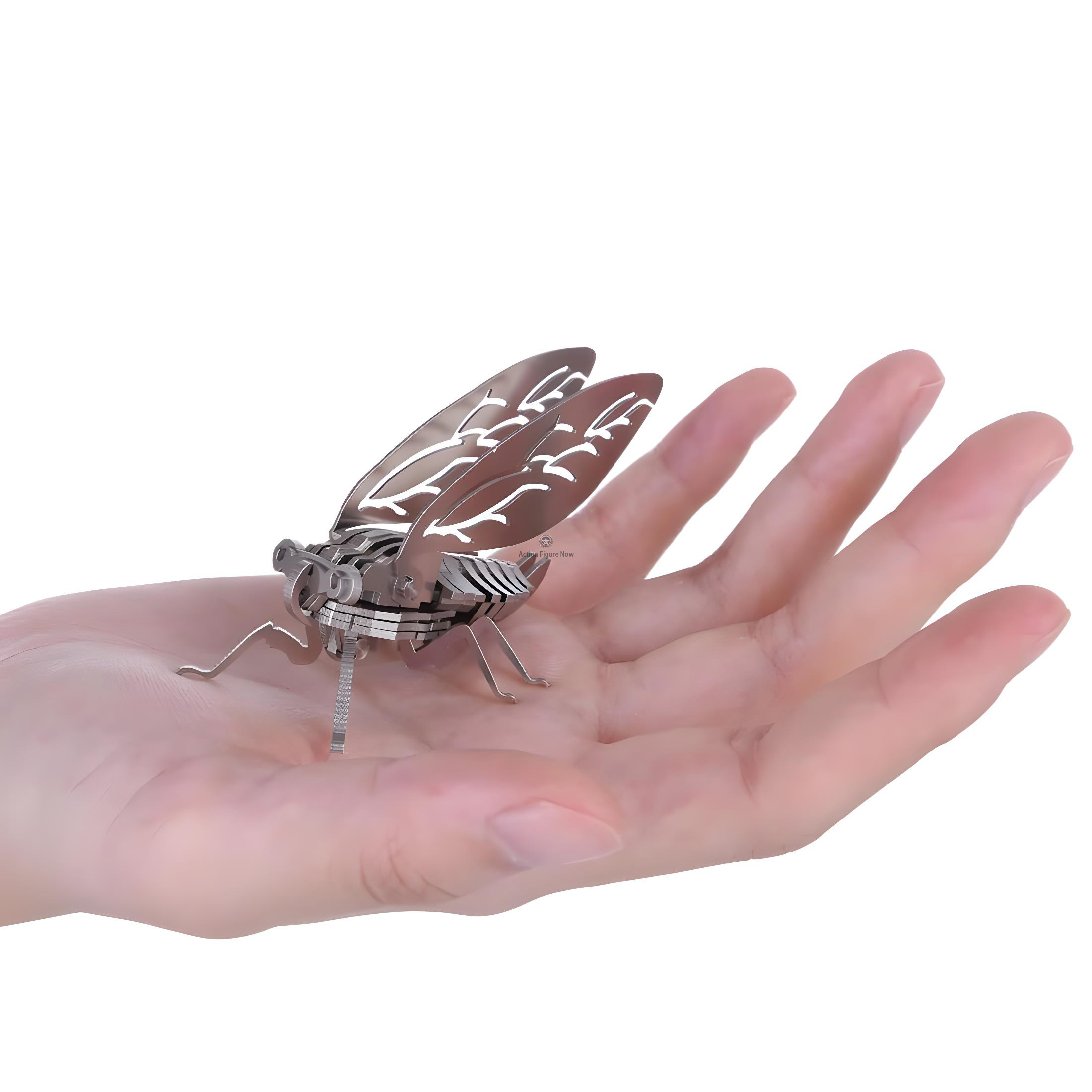 3-Pack DIY 3D Mantis, Beetles and Cicada Model Kit 3-Pack DIY 3D Mantis, Beetles and Cicada Model Kit