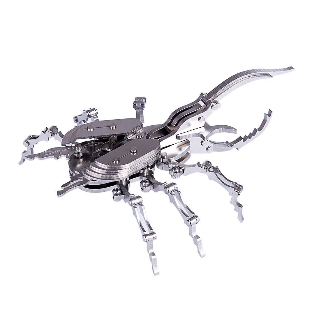 3-Pack DIY 3D Mantis, Beetles and Cicada Model Kit 3-Pack DIY 3D Mantis, Beetles and Cicada Model Kit