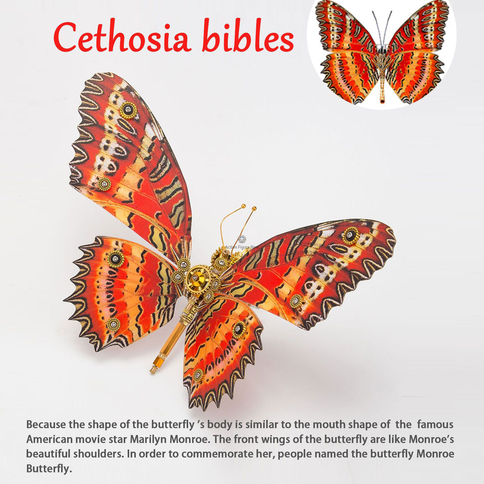3pcs Set Steampunk Red Lacewing Butterfly 3D Metal Model Kits for Women 3pcs Set Steampunk Red Lacewing Butterfly 3D Metal Model Kits for Women