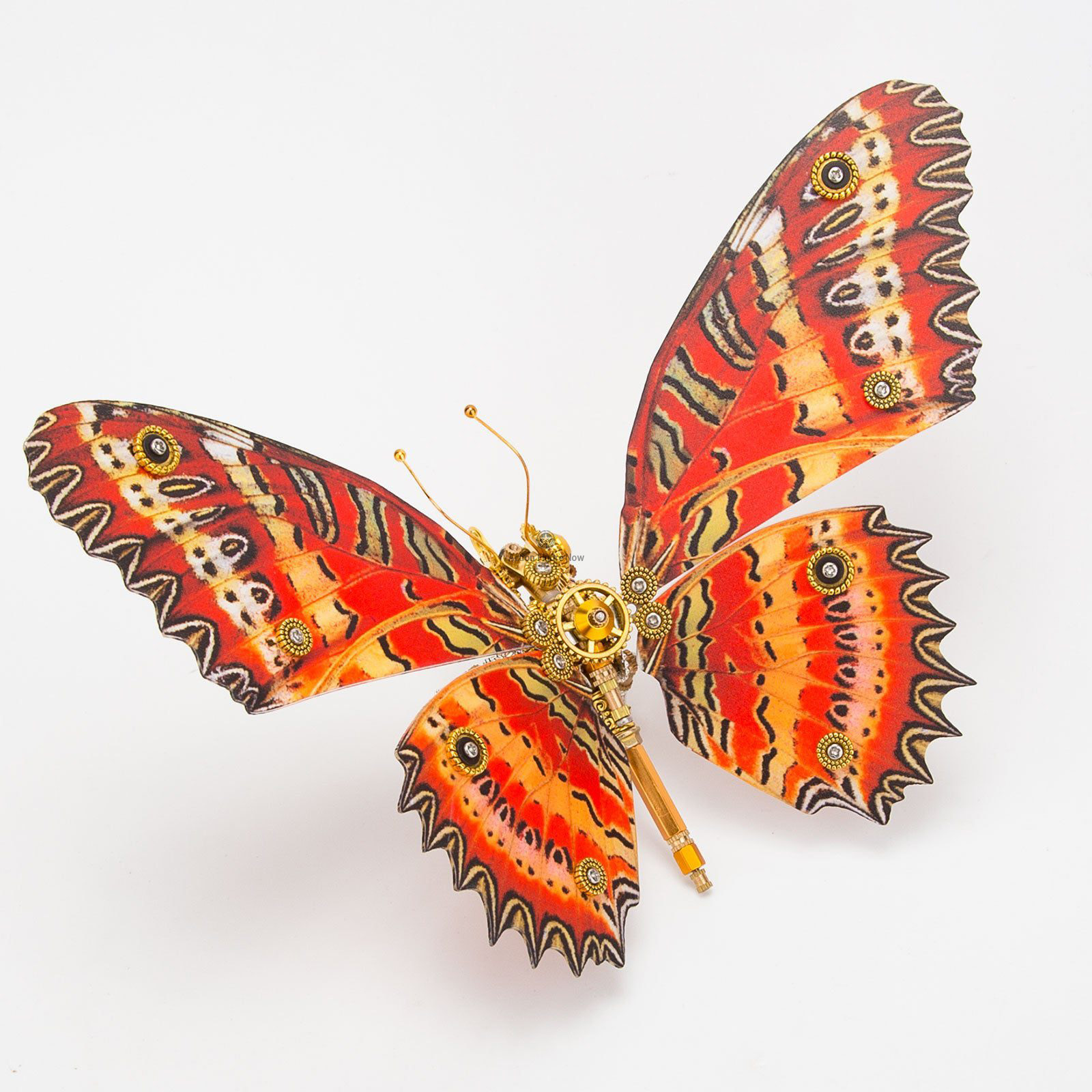3pcs Set Steampunk Red Lacewing Butterfly 3D Metal Model Kits for Women 3pcs Set Steampunk Red Lacewing Butterfly 3D Metal Model Kits for Women