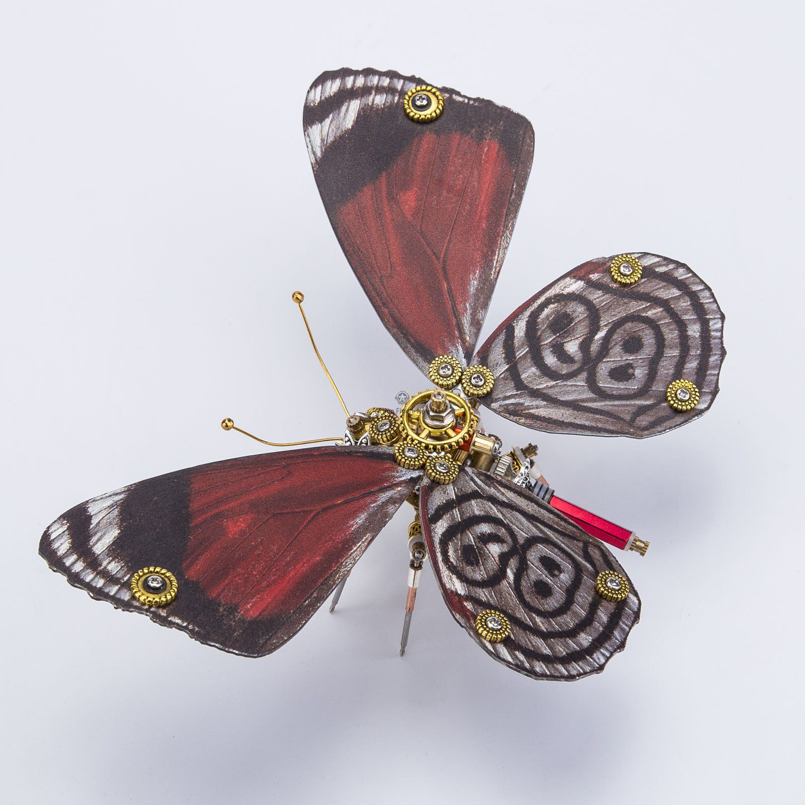 Steampunk Butterfly Diaethria Anna 3D Metal Model Kit Steampunk Butterfly Diaethria Anna 3D Metal Model Kit