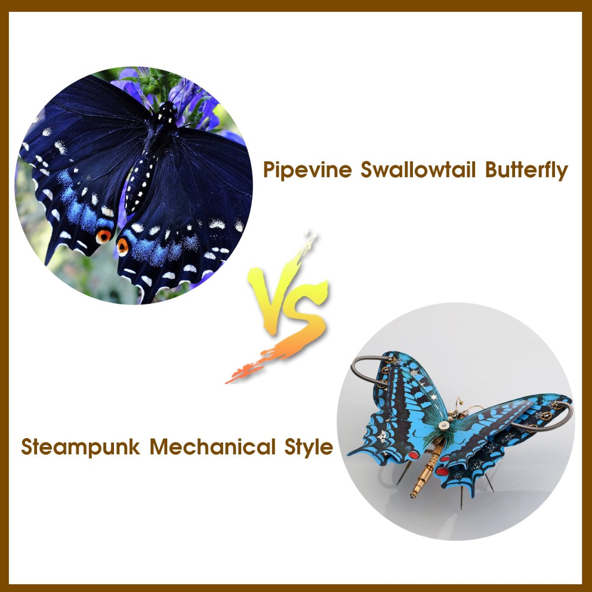 Steampunk Blue Butterfly Pipevine Swallowtail 3D Metal Puzzle Model Kit with Flower Base