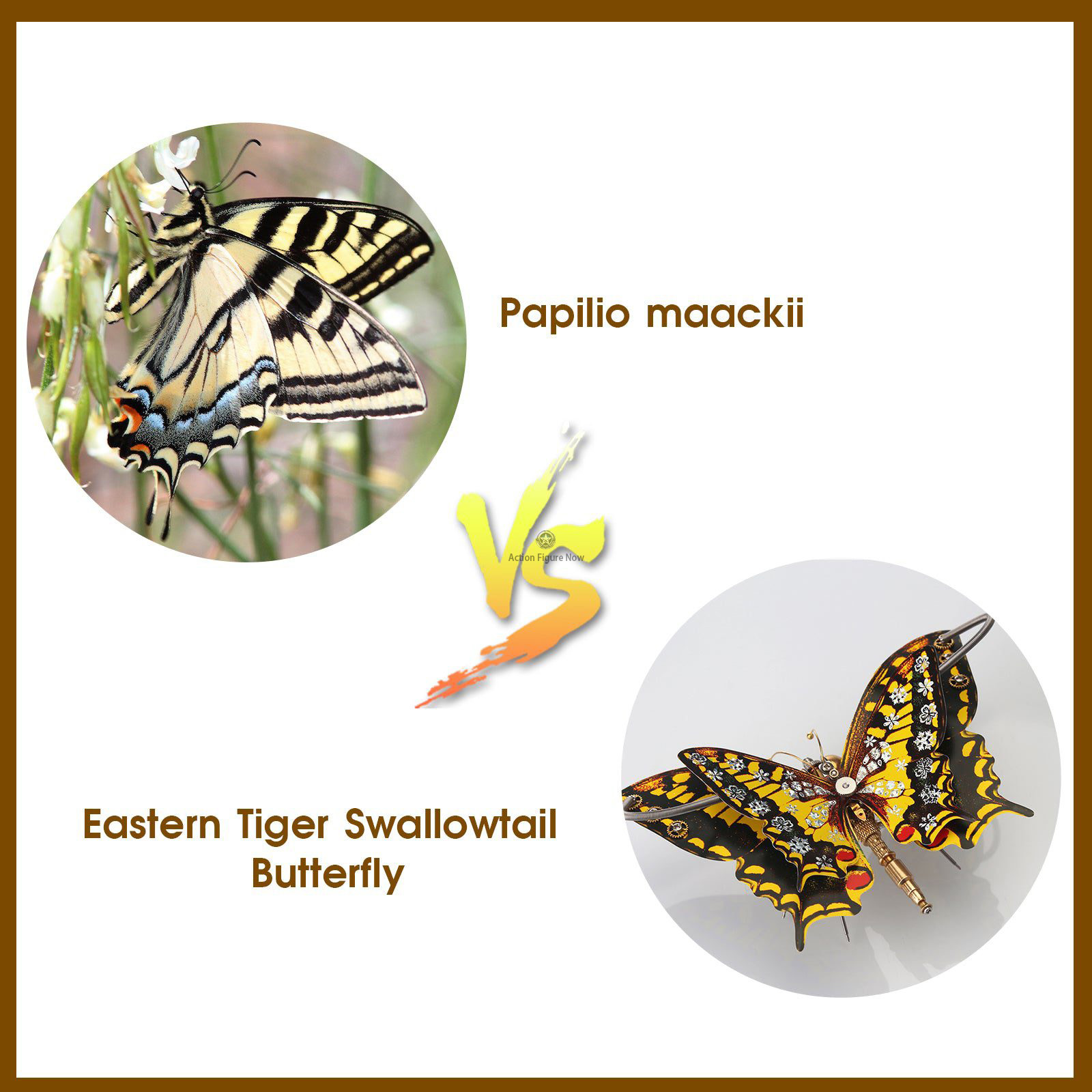 Steampunk Eastern Tiger Swallowtail Butterfly DIY Kit: Papilio Glaucus with Flower Base Steampunk Eastern Tiger Swallowtail Butterfly DIY Kit: Papilio Glaucus with Flower Base