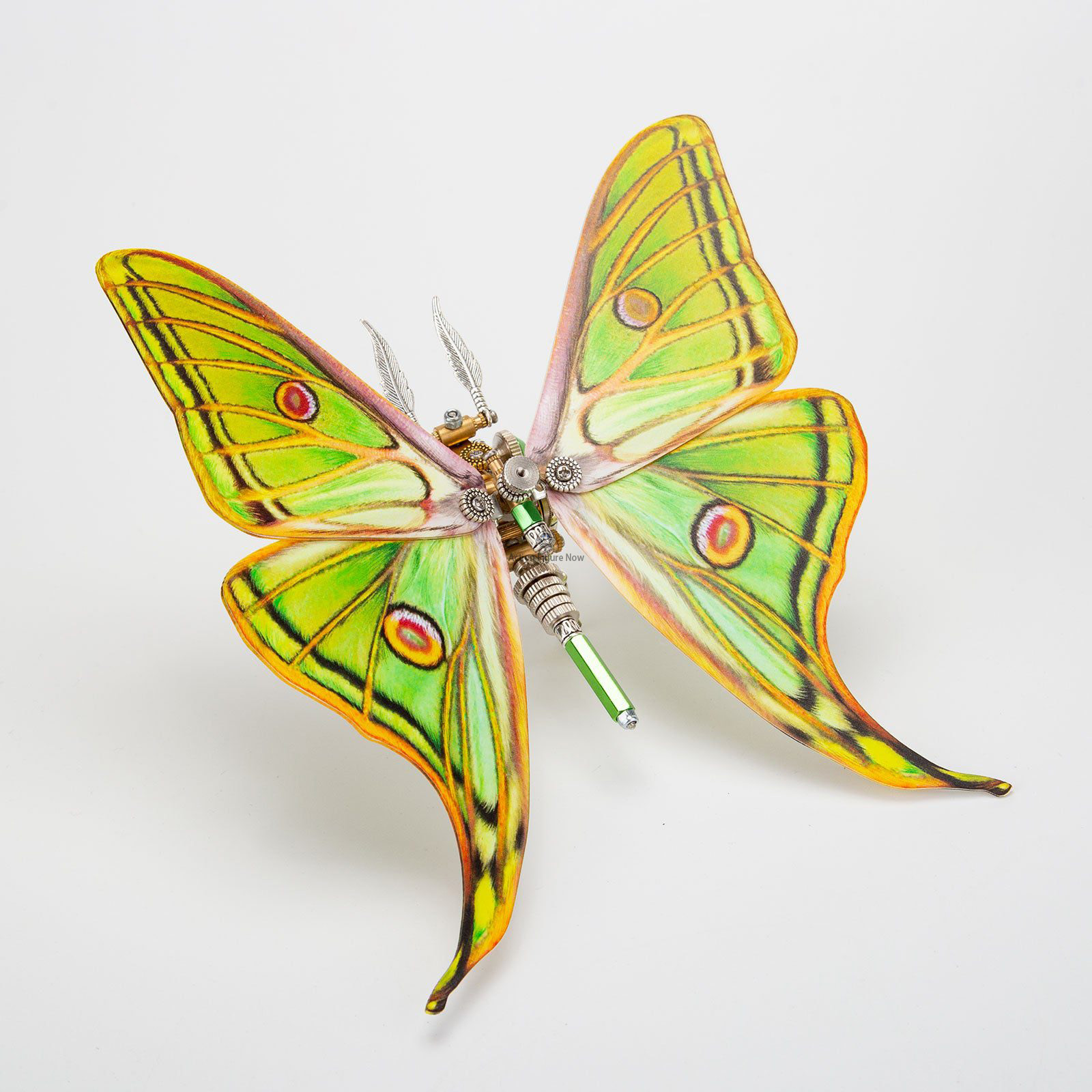 Steampunk Metal Spanish Moon Moth 3D Puzzle Kit Steampunk Metal Spanish Moon Moth 3D Puzzle Kit