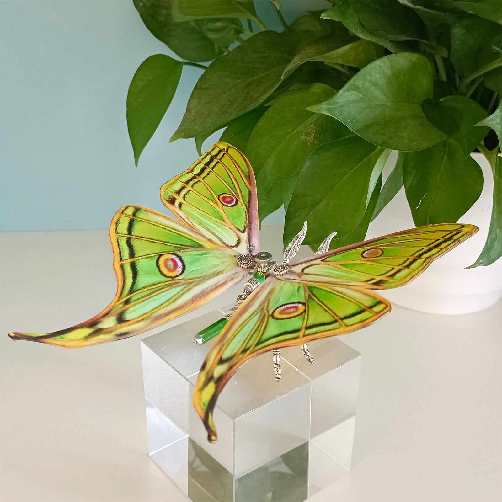 Steampunk Metal Spanish Moon Moth 3D Puzzle Kit Steampunk Metal Spanish Moon Moth 3D Puzzle Kit
