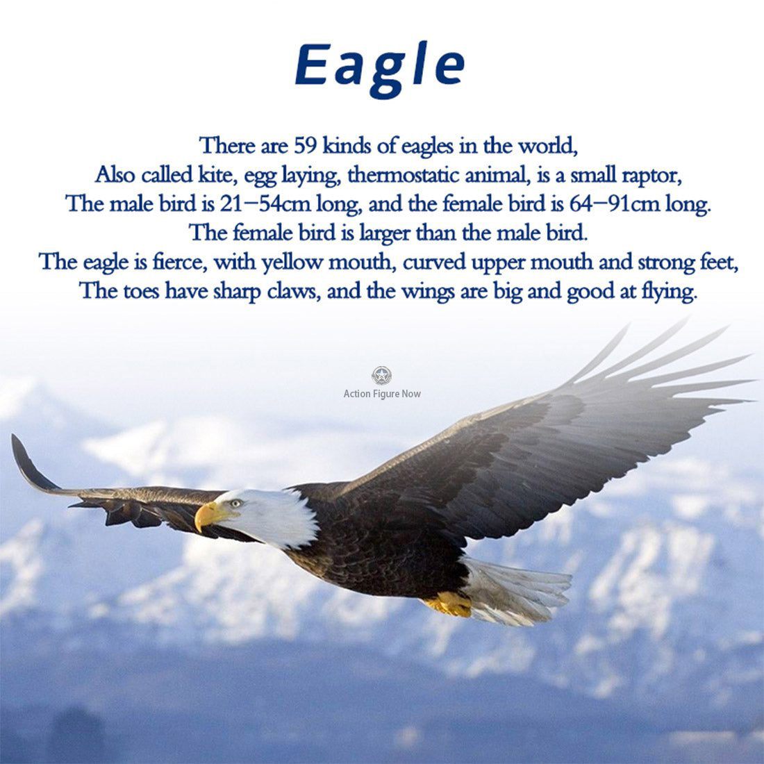 TECHING 3D Metal Puzzle: Bald Eagle Automaton Model Building Kit TECHING 3D Metal Puzzle: Bald Eagle Automaton Model Building Kit