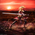 Fate/Apocrypha - Mordred - 1/7 - Seihai Taisen - Aniplex Limited