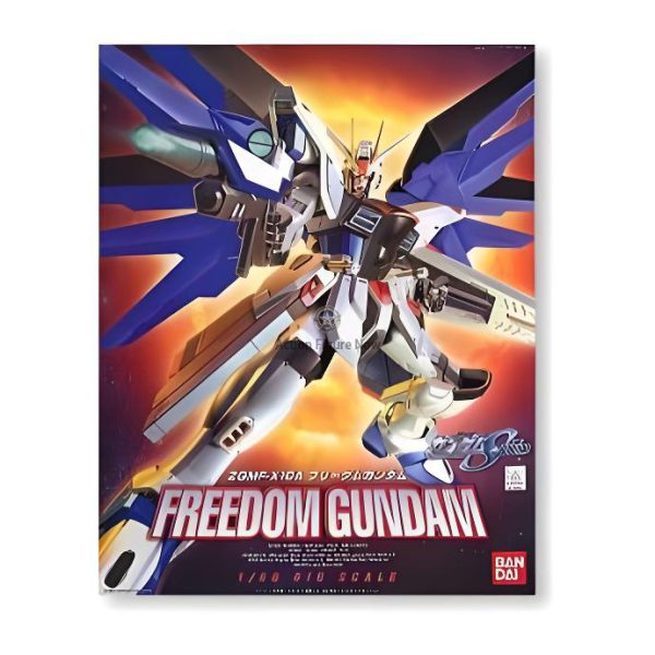 HG 1/60 Freedom Gundam Model Kit