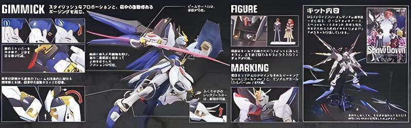 1/100 Scale MG Strike Freedom Gundam Full Burst Mode Gundam SEED Destiny Model Kit 1/100 Scale MG Strike Freedom Gundam Full Burst Mode Gundam SEED Destiny Model Kit
