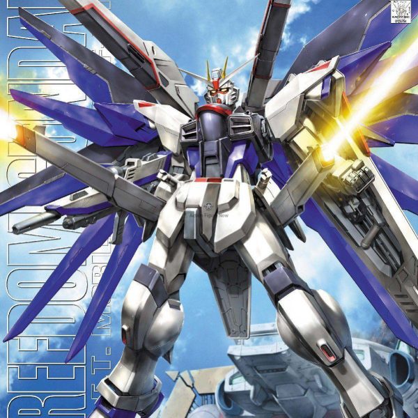 Bandai Freedom Gundam MG 1/100 Scale Model Kit