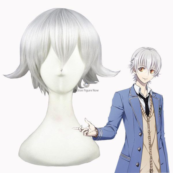 Ram | Zero Starting Life in Another World Cosplay Wig
