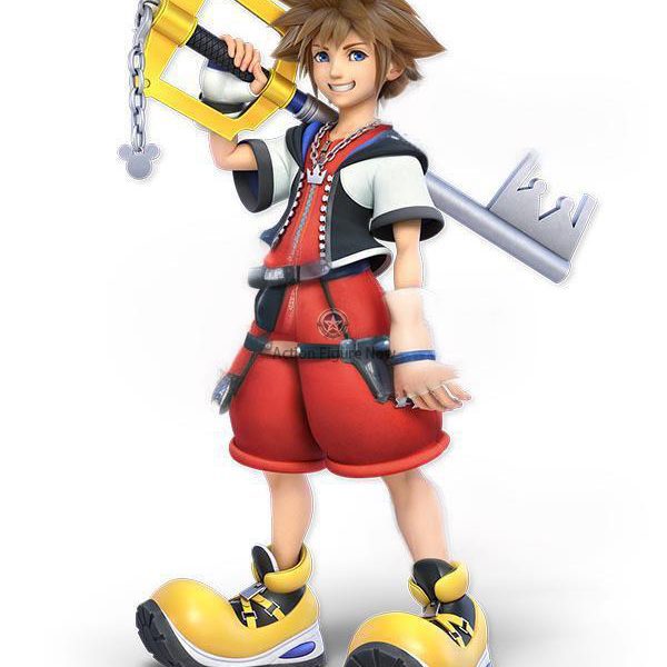 Sora Costume from Kingdom Hearts 1 for Super Smash Bros. Ultimate Halloween Cosplay