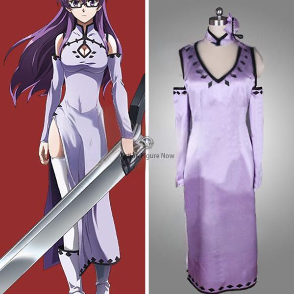 Akame ga Kill Night Raid Sheele Cosplay Costume