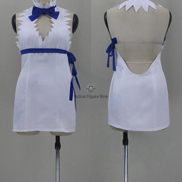 Is It Wrong to Try to Pick Up Girls in a Dungeon? Hestia Cosplay Costume