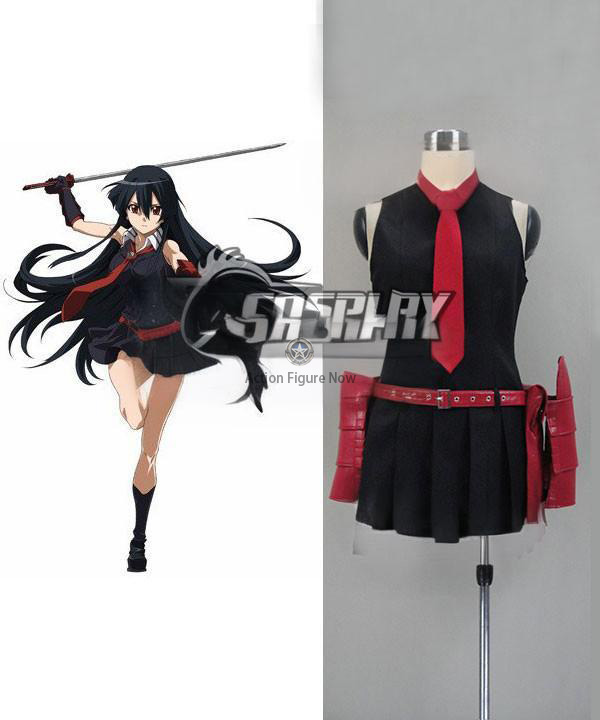 Akame Ga Kill! Night Raid Akame Cosplay Costume for Women