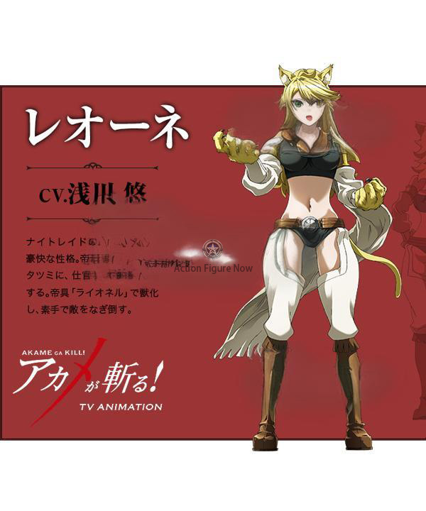 Akame ga Kill: Night Raid Leone Cosplay Costume