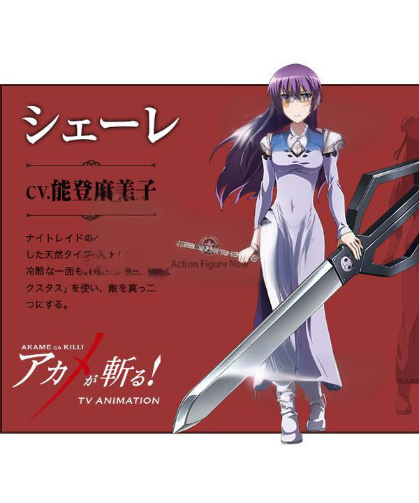 Akame ga Kill Night Raid Sheele Cosplay Costume
