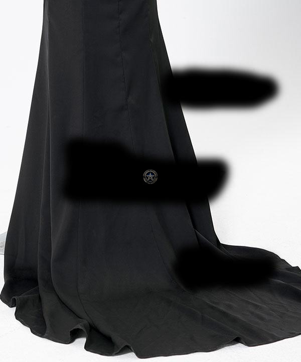 Morticia Addams Cosplay Outfit from The Addams Family 2022 Series - EZCosplay
