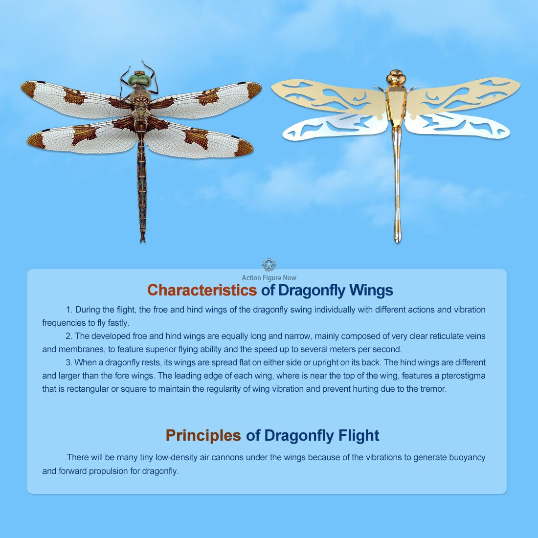 TECHING 3D Metal Dragonfly Construction Model - Build Your Own DIY Dragonfly Assembly Kits for Kids, Teens, and Adults TECHING 3D Metal Dragonfly Construction Model - Build Your Own DIY Dragonfly Assembly Kits for Kids, Teens, and Adults